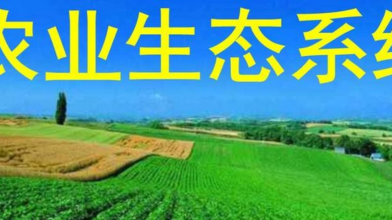 在选择生态农业与有机农业代理时，以下标准值得关注：