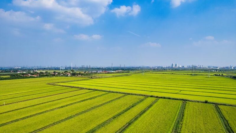 小型豆制品深加工设备价格