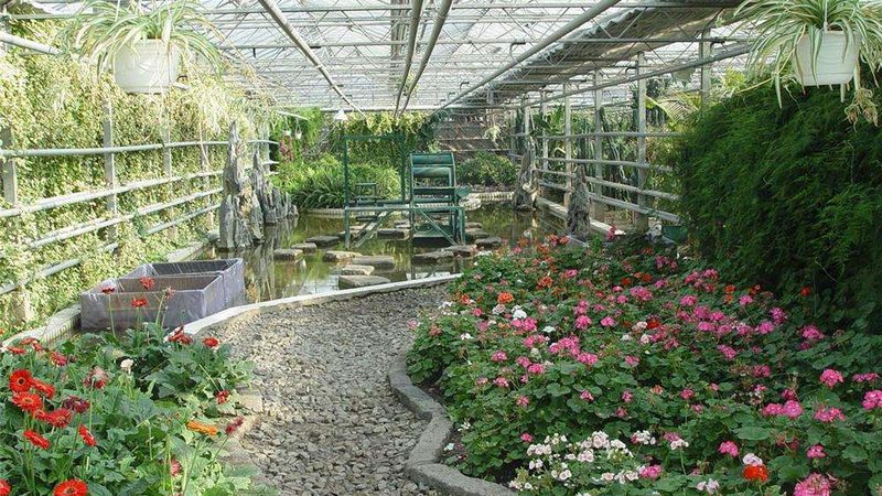 智慧农业种植系统：引领未来农业发展的十大品牌解析