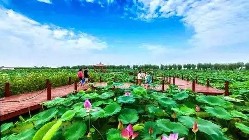 2025年温室大棚补贴政策标准解读：政策要点与影响分析**