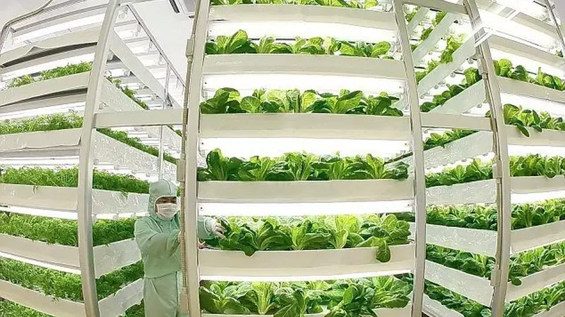 休闲农业项目如何科学评估？可行性报告模板全解析**