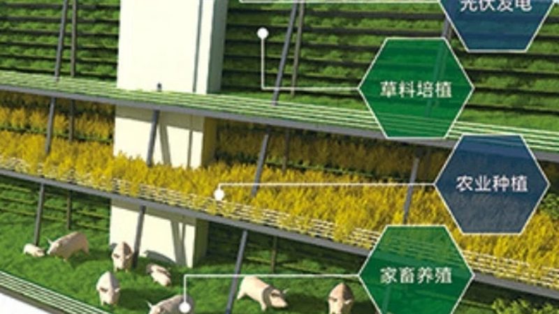 企业食堂选供应商，资质审查最容易漏掉哪一环