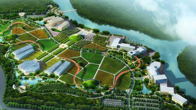 2025年有机蔬菜批发价，看这五点就够了