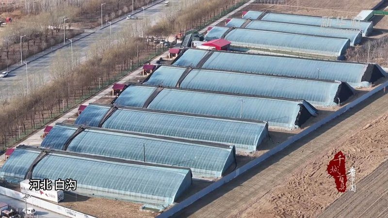 生鲜配送承包合同怎么签？关键步骤与注意事项