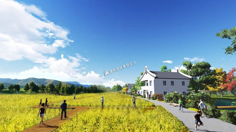 采摘节活动策划：从筹备到成功的全流程解析