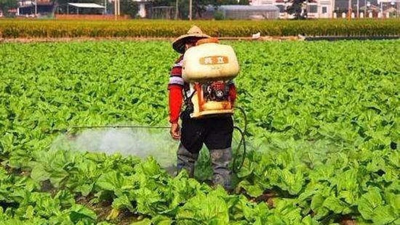山区生态农业项目：揭秘十大品牌背后的秘密**