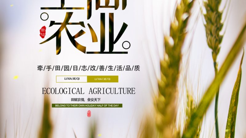 粮食种植资质代办：了解流程，规避误区**